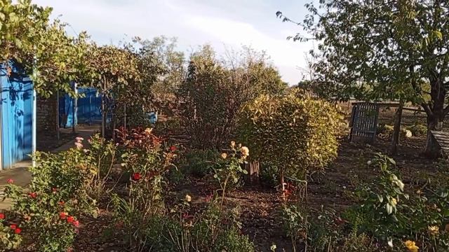 Большой переезд с Якутии в Краснодарский край. смотреть онлайн