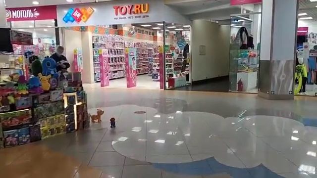 Обзор ТЦ Атмосфера,Санкт-Петербург смотреть онлайн