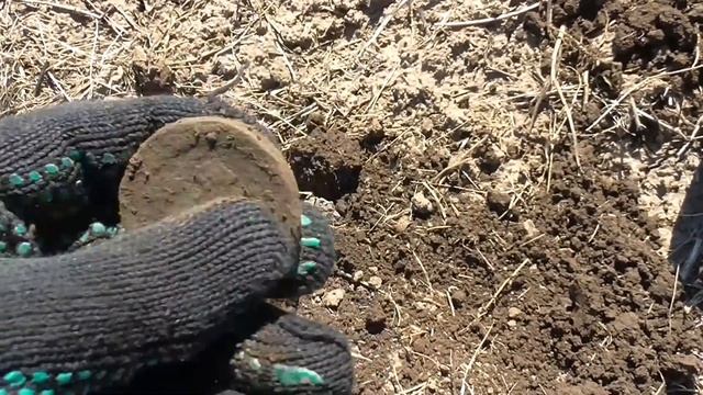 Золотая орда! Этой находки я совсем не ожидал!!! смотреть онлайн