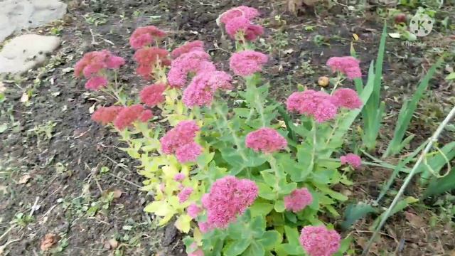 Краснодарский край Чем хорошо жить в доме... Если б ты мог понять.... смотреть онлайн