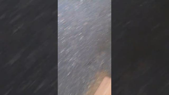 Алханай тур база отдыха смотреть онлайн