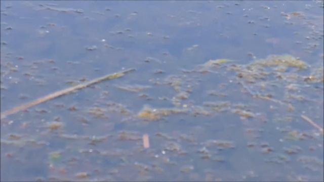 канал Саша Торопов День рыбалки смотреть онлайн