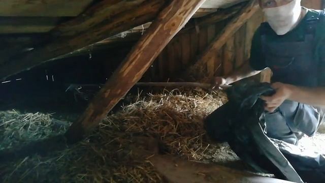 Весь чешусь) Пыльные дела! Укладываем утеплитель.