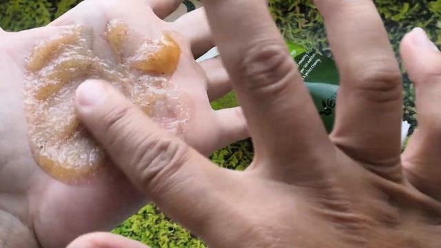 Скраб для тела с морской солью Elizavecca Milky Piggy Green Tea Salt Body Scrub смотреть онлайн