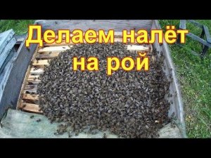 Делаем налёт на рой