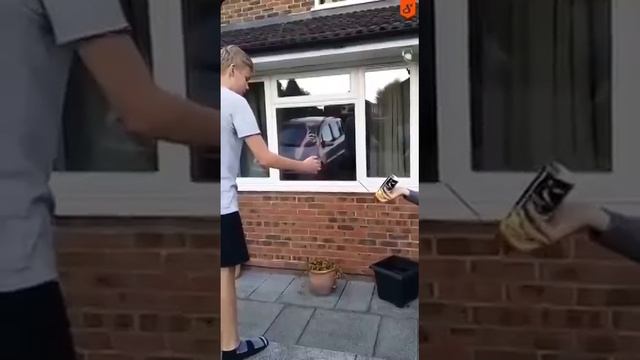 Видео,приколы,юмор,смех смотреть онлайн