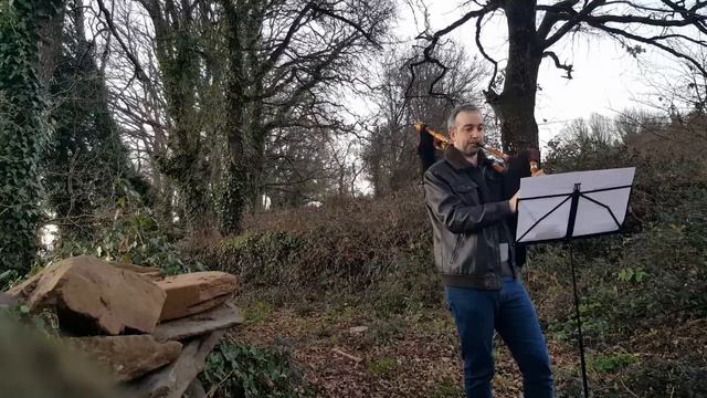 Alborada De Rosalia De Castro " Os Xílgaros De Lugo " смотреть онлайн