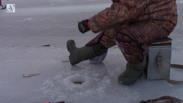 Серебро нашего озера😊ноябрь ЛЕД 2020г😍 смотреть онлайн