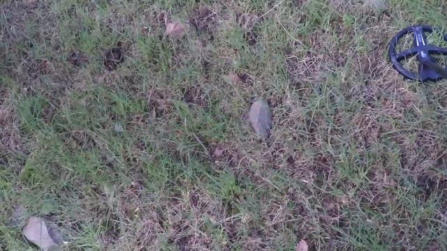 XP DEUS Metal Detecting Jew's Harp Found смотреть онлайн