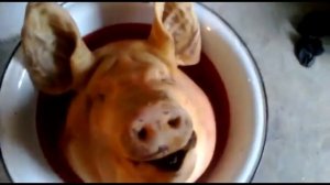 Мэйсон, ты шо спышь? Ты чуешь мене чи ни?