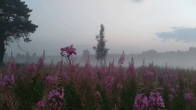 Утро на Угре смотреть онлайн