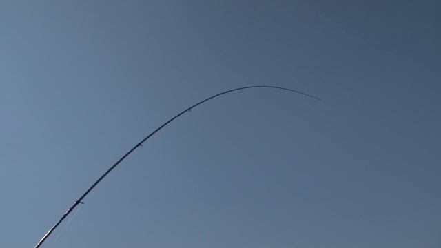 Рыбалка с Юрием Петрашем (часть 1)