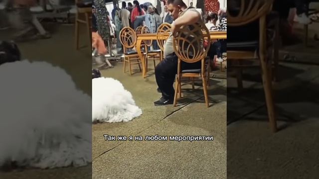 😂😂😂😂😂 смотреть онлайн