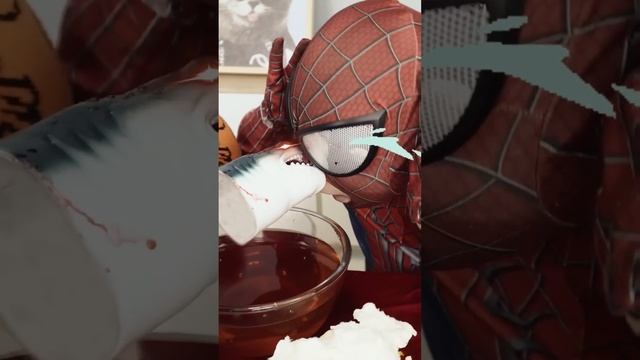 Oscar’s TOP SURPRISING Prank Video Revealed! ?| Oscar‘s Funny World | New Funny Cat Videos 2023