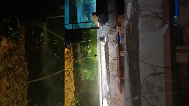 Ардуино и аквариум ч.2 смотреть онлайн