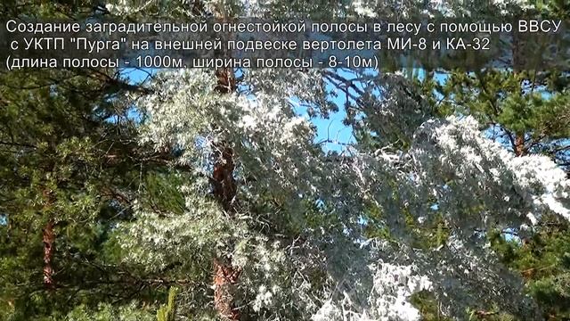 Как быстро и эффективно потушить лесной пожар смотреть онлайн