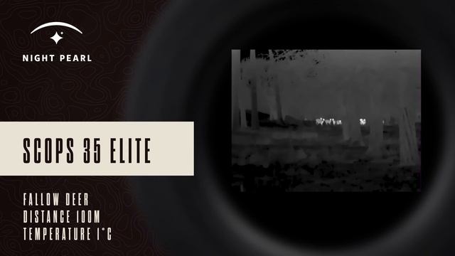 Night Pearl SCOPS 35 ELITE - REAL VISION VIDEO смотреть онлайн