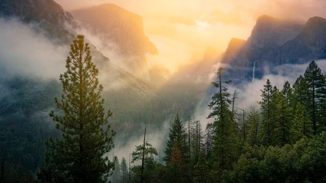 Resonance & Initiation. Reminisce