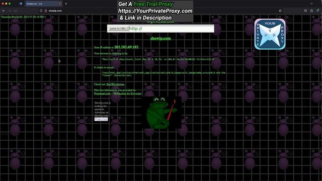 How to Use A SOCKS Proxy in FireFox 2023 Edition смотреть онлайн
