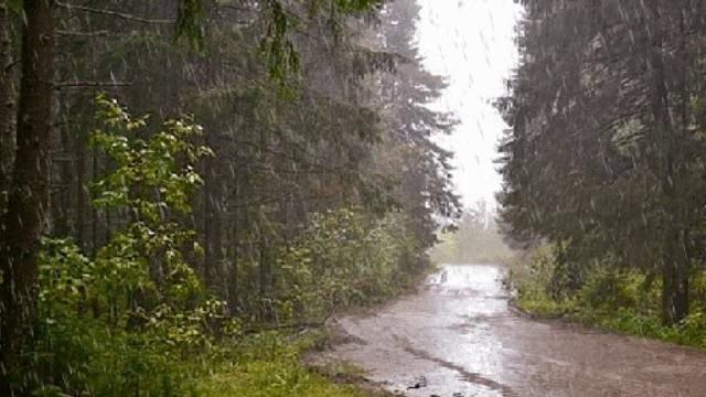 SOUNDS OF THE RAIN