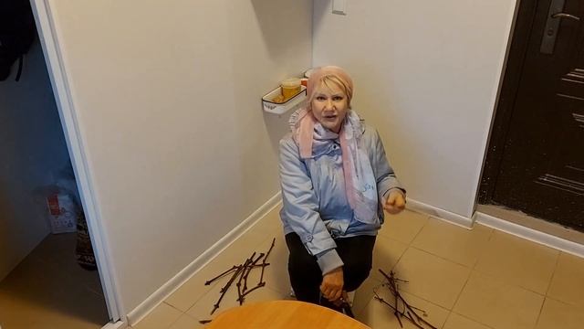 Обрезка винограда Отчитали за виноградинку смотреть онлайн