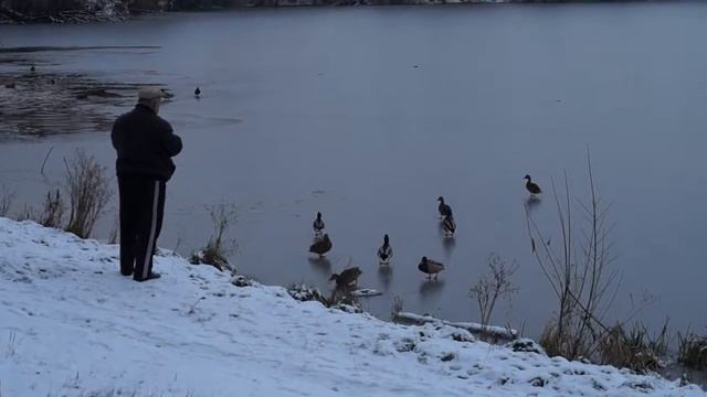 Утки сквозь лед смотреть онлайн