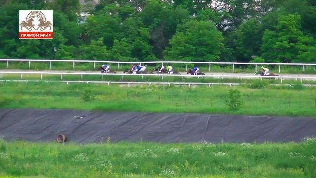 04.06.2023 - Ограничительный приз на кобылах 3-х лет чистокровной верховой породы - Воля смотреть онлайн