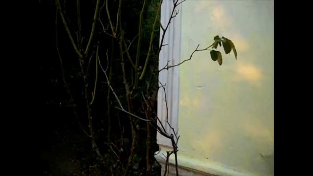 Eesti Küla. В Абхазии,  село Эстонка