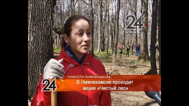 Нижнекамские студенты убрали мусор в лесах смотреть онлайн