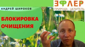 Критика КЕТОДИЕТЫ от Валентины Николиной | Как Понять, Что Организм ОЧИСТИЛСЯ
