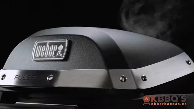Barbacoas Weber Pulse SPS 60 Online OK Barbacoas смотреть онлайн