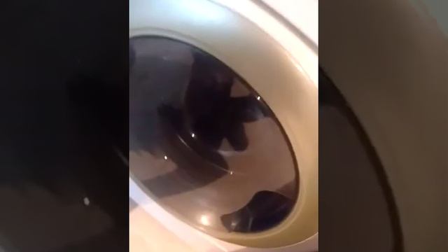 falla f6E1 y test diagnóstico Whirpool смотреть онлайн