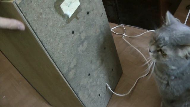 Вега 50АС-106 проедимся за колонками смотреть онлайн
