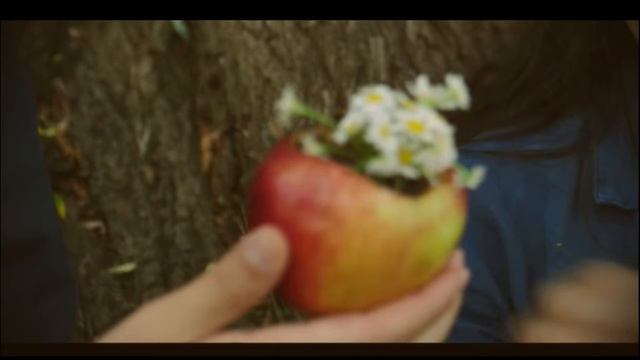 İsmet Özel - Kuşun Ölümü & Ludovico Einaudi - Nuvole Bianche смотреть онлайн