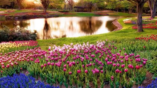 4 апреля 2021 года 22 Лунный день смотреть онлайн