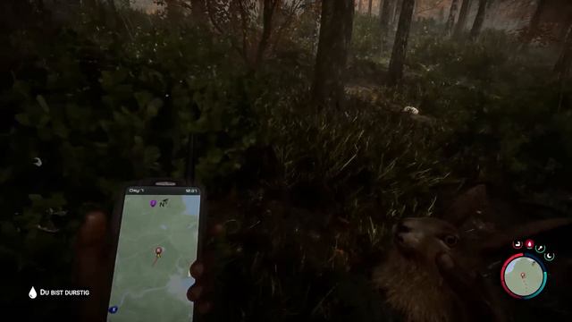 Sons of The Forest Gameplay Deutsch COOP #09 - Mehr Wand der Schande смотреть онлайн