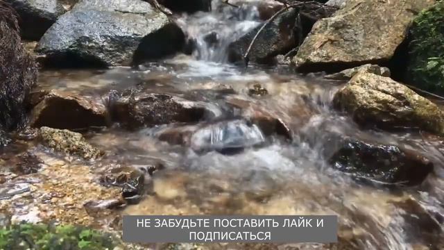 Желания это..Реальная история. Аудиорассказ смотреть онлайн