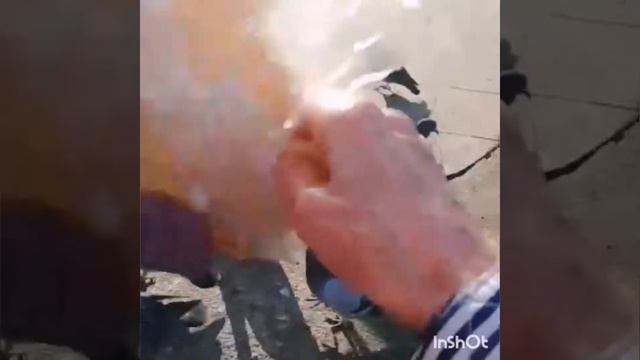 Кормим уток и наглых голубей на берегу реки Белой. Башкортостан. смотреть онлайн