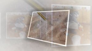 Разбился градусник - бояться или нет?