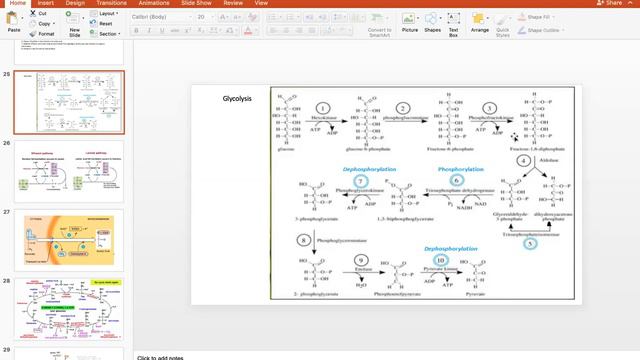 Bioenergetics 2 смотреть онлайн