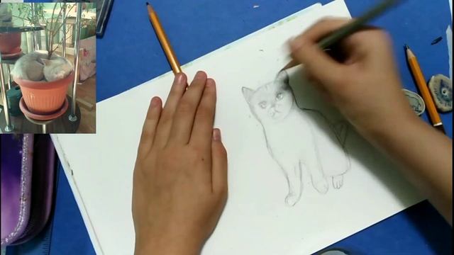 Как нарисовать кошку смотреть онлайн