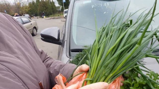 Заготовка зелени на зиму- самый простой способ. Зелень всю зиму на столе! смотреть онлайн