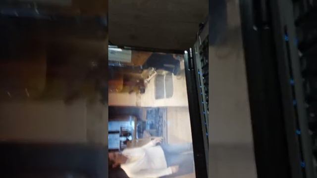 Parole de singe: DONNE MOI DES BANANES WESH! смотреть онлайн