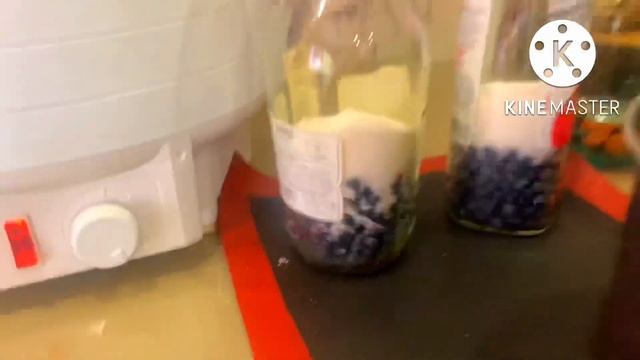 НОВИНКА ИЗ БАРАНОК. ОСЕННИЕ РЕЦЕПТЫ. смотреть онлайн