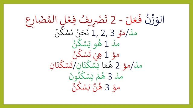 Арабский язык. Урок 10. Диалог: Где ты живешь? Арабская грамматика: Разновидности вопросов.