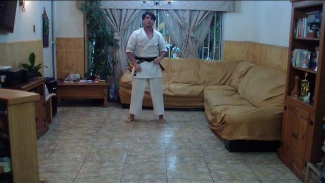 Deporte formativo, San Vicente, Profesor Phillip Rubio, clase 36- Karate Do смотреть онлайн