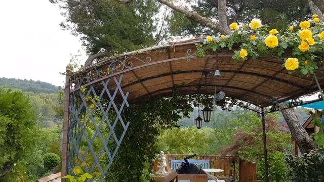 ФРАНЦИЯ/ПРОВАНС/ПЛЕТИСТЫЕ РОЗЫ/Мой САД 2018/VLOG provence-allochka смотреть онлайн