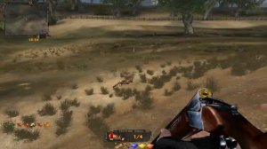 Где найти 10 собачьих хвостов для Грига