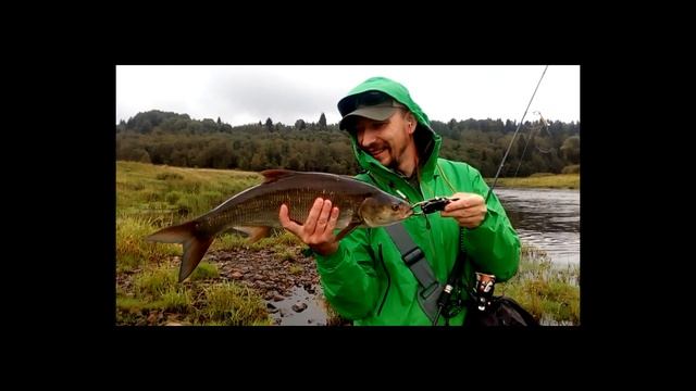 Norstream Areal - обзор спиннинга на рыбалке. Рыболовный блог TrueFisher Арсенал.