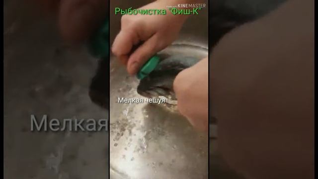 Рыбочистка "Фиш-К". Чистка Сибаса смотреть онлайн